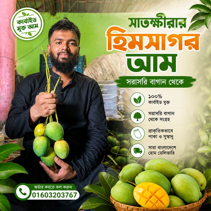 সাতক্ষীরার হিমসাগর আম